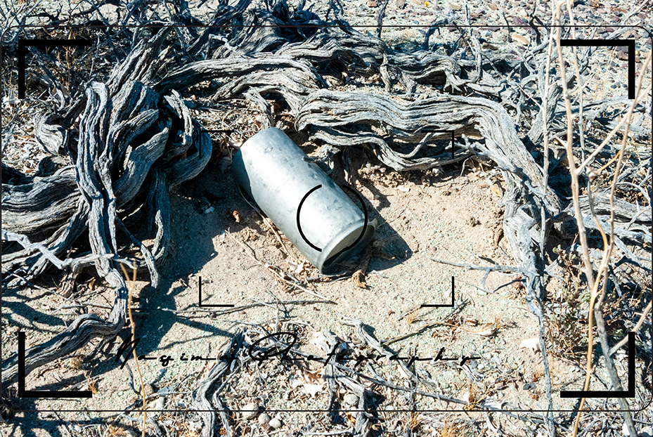 Alte Metalldose zwischen verwitterten Wurzeln auf trockenem, sandigem Boden in Ash Meadows.