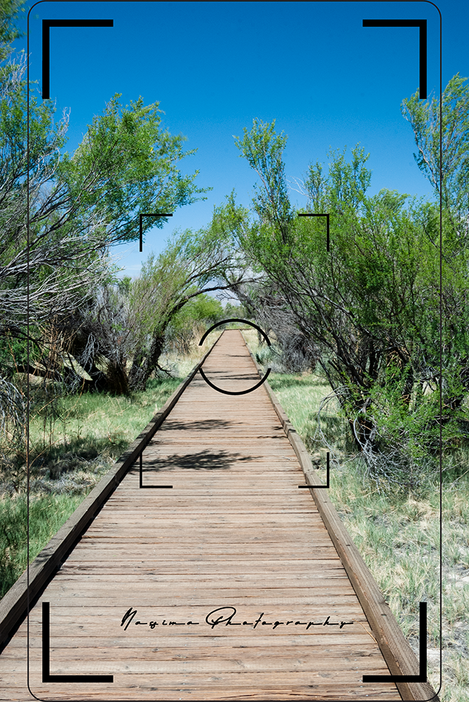 pedestrian overpass at Ash Meadows National Wildlife Refugee in Mojave Desert